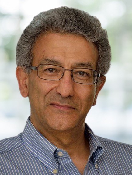 Professor Nader Engheta